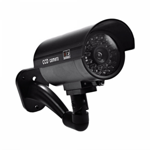 ����� ��� �������