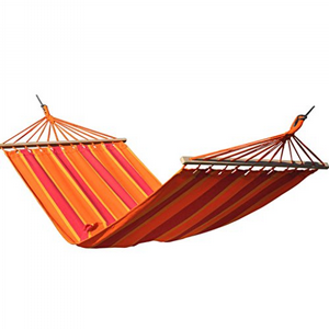 ���� ����� ����� �� �����