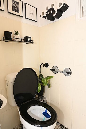 ���� ����� ������� ������� �����