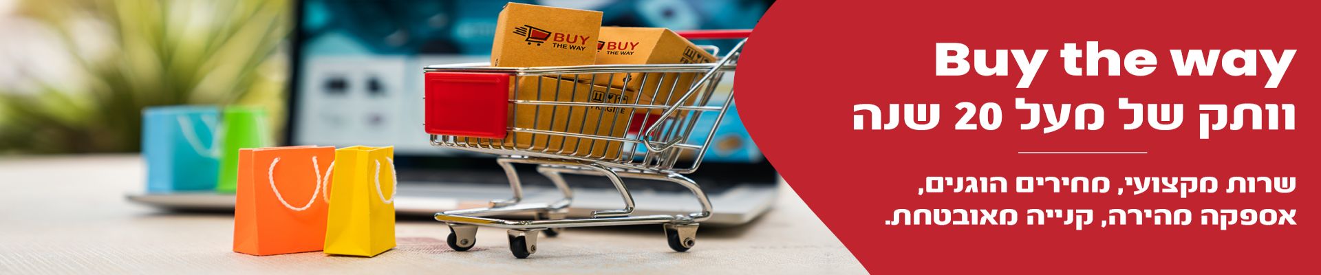 ���� ����